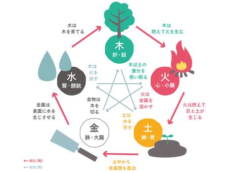 東 五行|五行